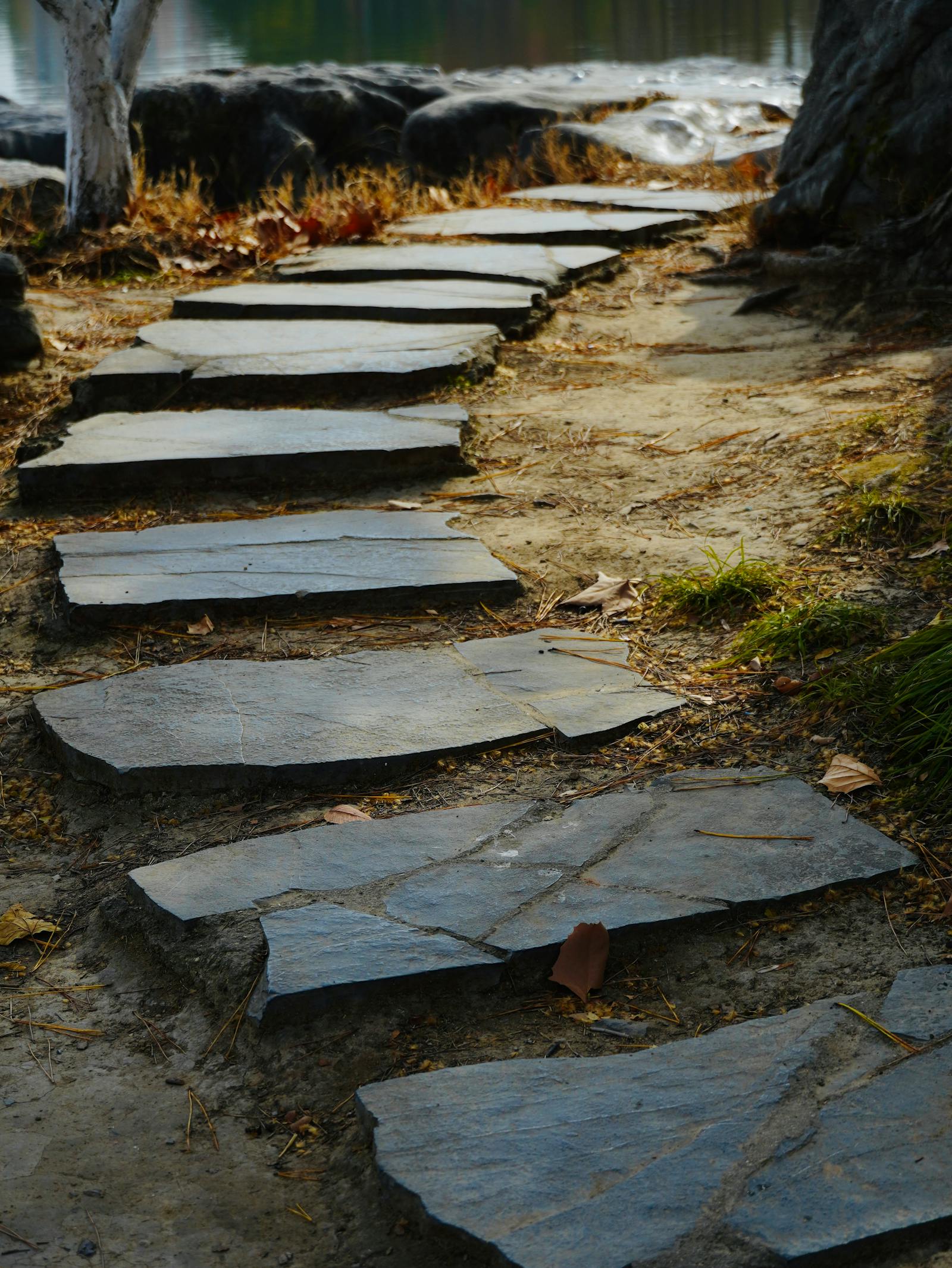Natural stone walkway leading to a residential entry, freshly washed.